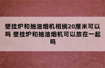 壁挂炉和抽油烟机相搁20厘米可以吗 壁挂炉和抽油烟机可以放在一起吗